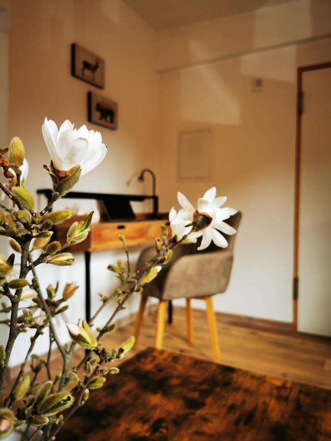Apartmán Haselnuss Ilsenburg Exteriér fotografie